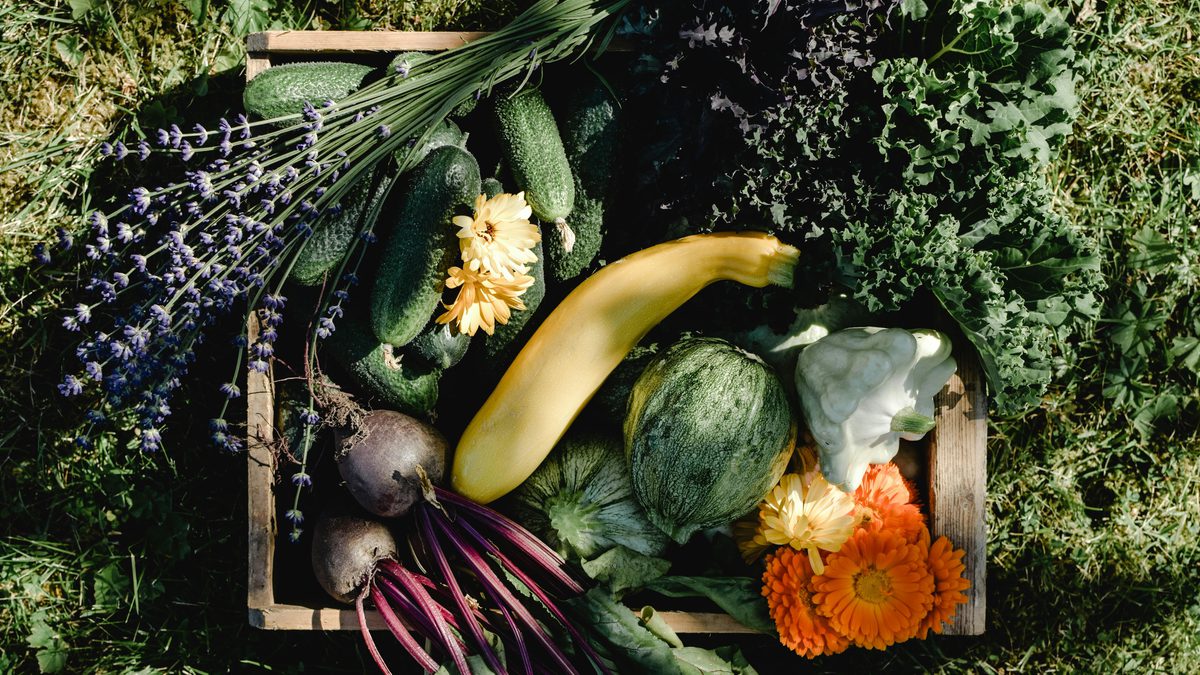 Pexels eva bronzini 5503195